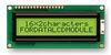 FORDATA FC1602N04-FHYYBW-91LE