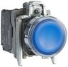 SCHNEIDER ELECTRIC XB4BW36G5