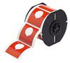 BRADY B30EP-170-593-RD