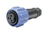 BULGIN LIMITED PX0911/03/S/02