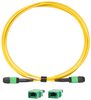 FLUKE NETWORKS TRC-SM-VERIFY-MPO24U