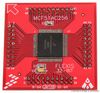 NXP DCF51AC256