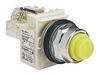 SCHNEIDER ELECTRIC 9001KT38LYY31