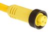 MOLEX / BRAD 1300060250