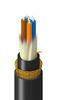 BELDEN TM-1D9-006-LBAN