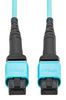 EATON TRIPP LITE N845B-03M-12TAA
