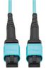 EATON TRIPP LITE N845B-10M-12TAA