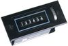 TRUMETER P2-1006