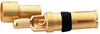 AMPHENOL COMMUNICATIONS SOLUTIONS L17DM537421