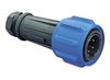 BULGIN LIMITED PX0911/07/P