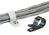 PANDUIT CCS31-S8-C