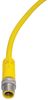 SWITCHCRAFT/CONXALL 172P12
