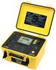 AEMC INSTRUMENTS 6555