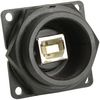 SWITCHCRAFT/CONXALL DCP-USBBT-USBA