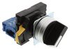 OMRON INDUSTRIAL AUTOMATION A22NS-2MM-NBA-G100-NN