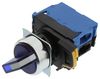 OMRON INDUSTRIAL AUTOMATION A22NW-2RM-TAA-G100-AC