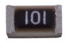SUSUMU RR0816P-101-B-T5