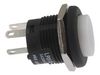 NKK SWITCHES LP0115CCKW01B