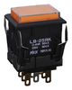 NKK SWITCHES LB25RKG01-5D05-JD