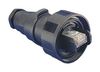 BULGIN LIMITED PX0834/A