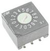 C&K COMPONENTS RTF16R2J