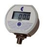 ABSOLUTE PROCESS INSTRUMENTS DPG2000BBL300PSIG-5