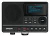 SANGEAN DAR-101