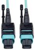 EATON TRIPP LITE N844-01M-12-P