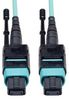 EATON TRIPP LITE N844-02M-12-P