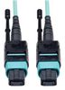 EATON TRIPP LITE N844-03M-12-P