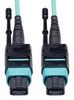EATON TRIPP LITE N844-10M-12-P