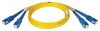 EATON TRIPP LITE N356-10M