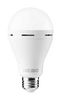 NEBO SPORTS NEB-ARE-0003