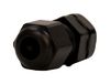 SWITCHCRAFT/CONXALL CGM12N26