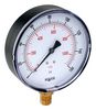 NOSHOK 20-100-60-PSI/KPA