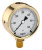 NOSHOK 25-300-15000-PSI