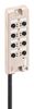 LUMBERG AUTOMATION ASBV-R 8/LED 5-242/5 M
