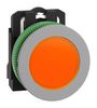 SCHNEIDER ELECTRIC XB5FVB5C0