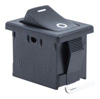 E-SWITCH R1966ABLKBLKGR