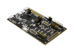 TDK DK-42653