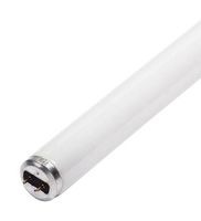 LEDVANCE F20T12/CW