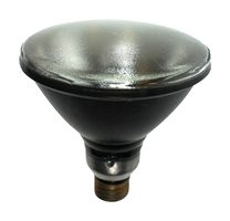 LEDVANCE H44GS-100/MDSKSP