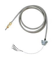 OMEGA CFTF-000-RTD-2-60-1 RTD Sensor, Class B Thin-Film DIN Platinum, Probe, Class B, -50 °C, 260 °C, 100 ohm, Platinum