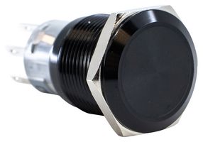 E-SWITCH PV4F2G011