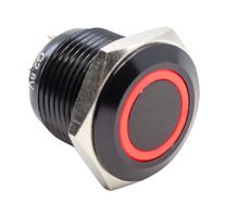 E-SWITCH PV6F24011-3R1-M15