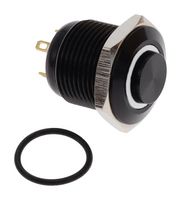 E-SWITCH PV6H24011G-301