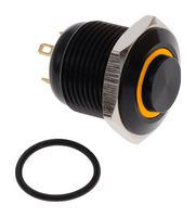E-SWITCH PV6H24011G-321