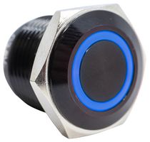 E-SWITCH PV6F24011G-341