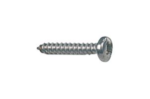 TR FASTENINGS N40.250 PRSTABZ100-