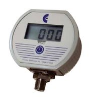 ABSOLUTE PROCESS INSTRUMENTS DPG2000BBL300PSIG-5